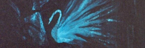 samiram171 Profile Banner