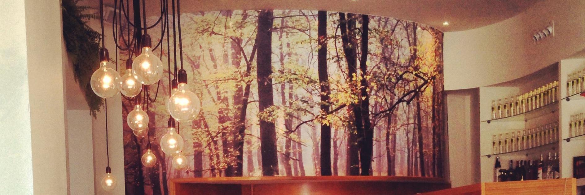 CafeBotanic's profile banner image