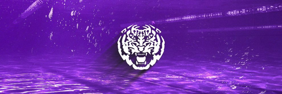LSU Swimming & Diving banner