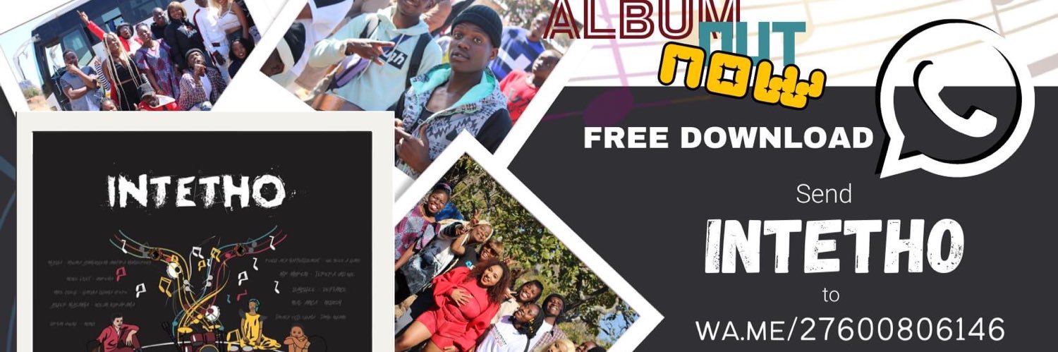 Voice2RepZimbabwe banner