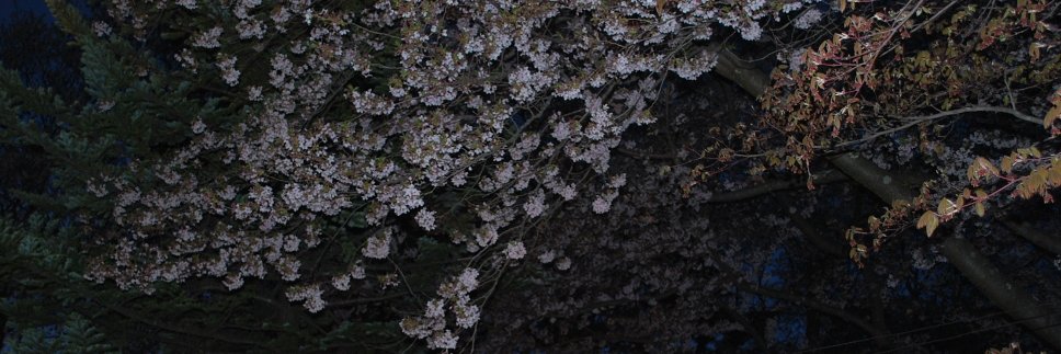 shian_h's profile banner image