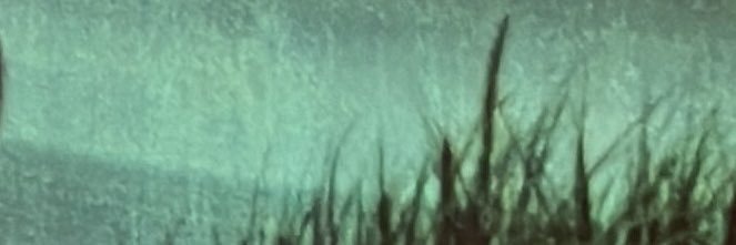 DylanDeelRey's profile banner image