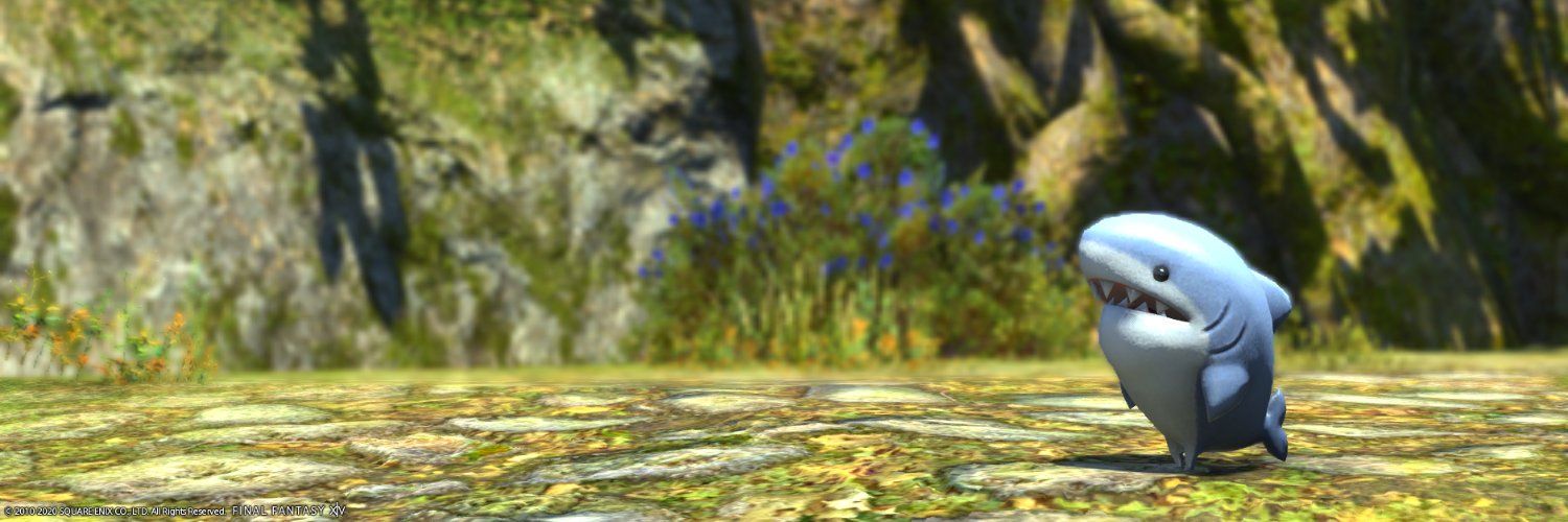 羊　毛　民 banner