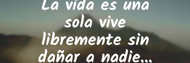 nobrega_mary's profile banner image