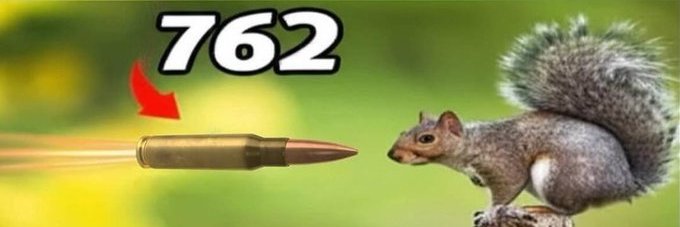BigBearToast's profile banner image