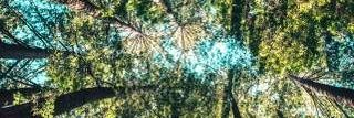 EdnaSophy's profile banner image