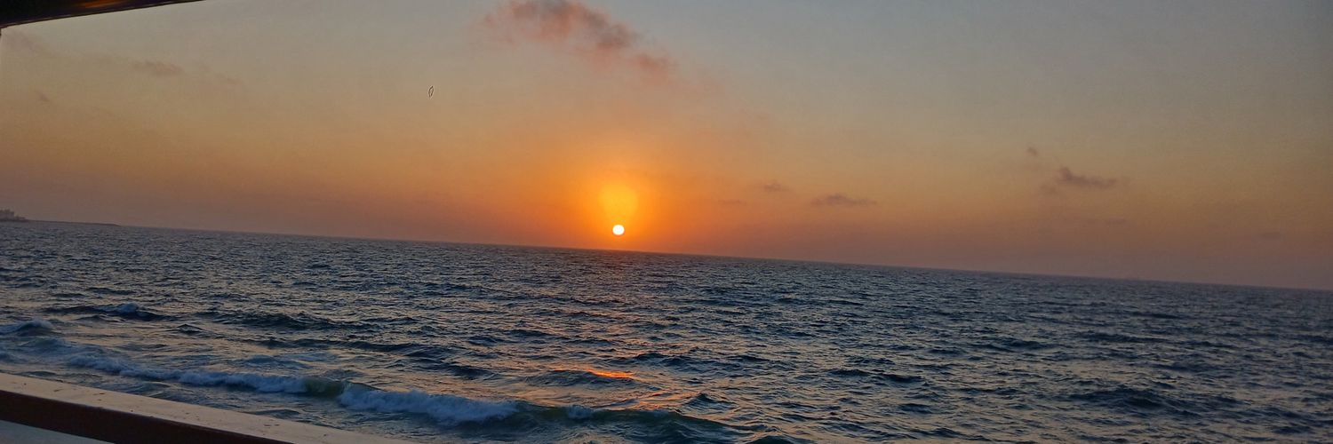 BarthiniaGeorge's profile banner image