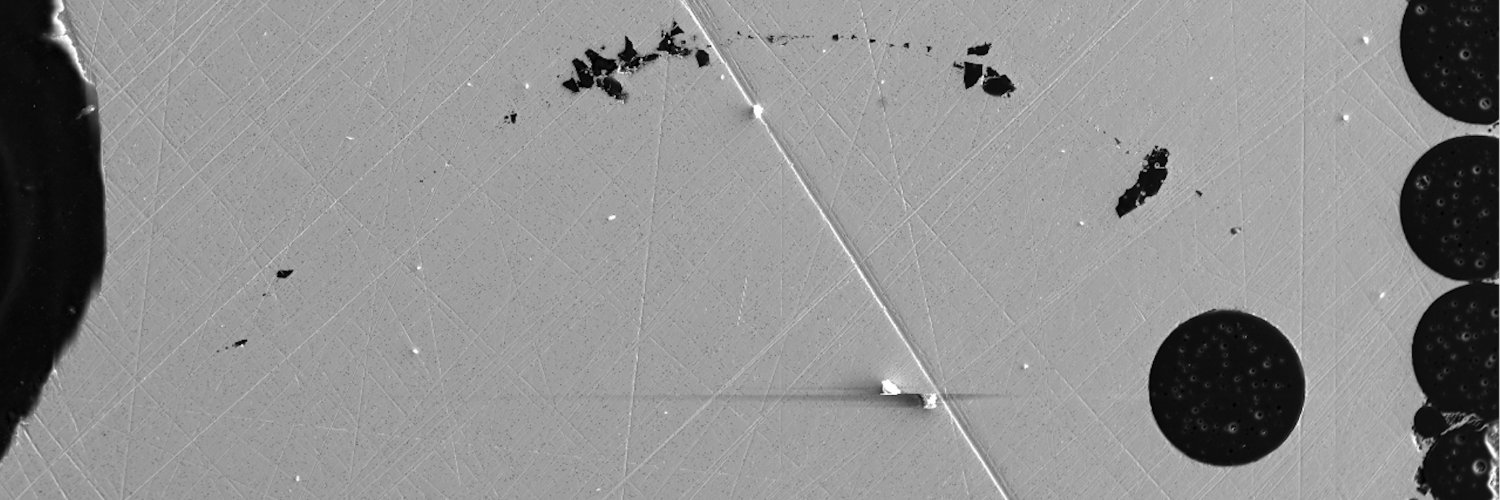 Francesca Miozzi banner