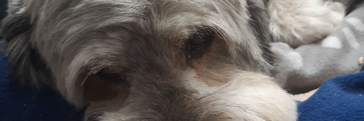 Bruno072305's profile banner image