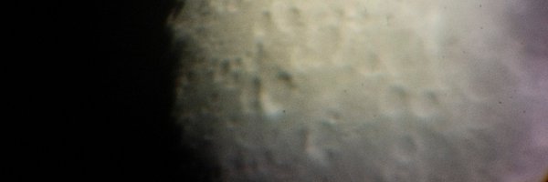 MichaMWitkowsk1 Profile Banner