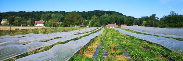 Kelbongoo Profile Banner