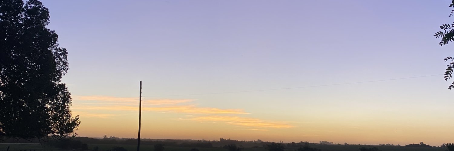 MaiaMarsilli's profile banner image