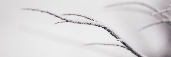 ecocene_journal Profile Banner