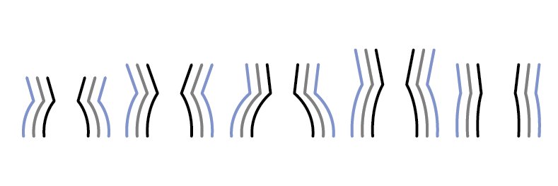 _fit_for_everybody_ banner