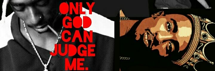 lmanehsnva's profile banner image