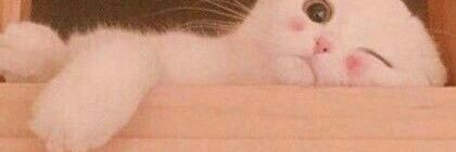 Merry 🌲 banner