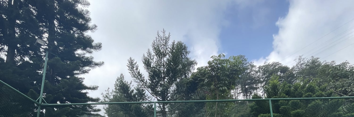 pikachu ੈ♡‧₊˚ banner