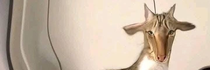 good cia 🏇 banner