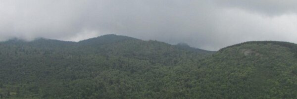 ginasmithnews Profile Banner