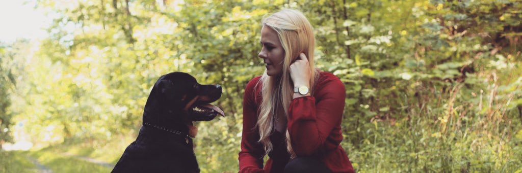 andrea mountainbeach banner