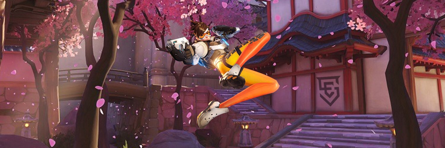 ESG StorM banner