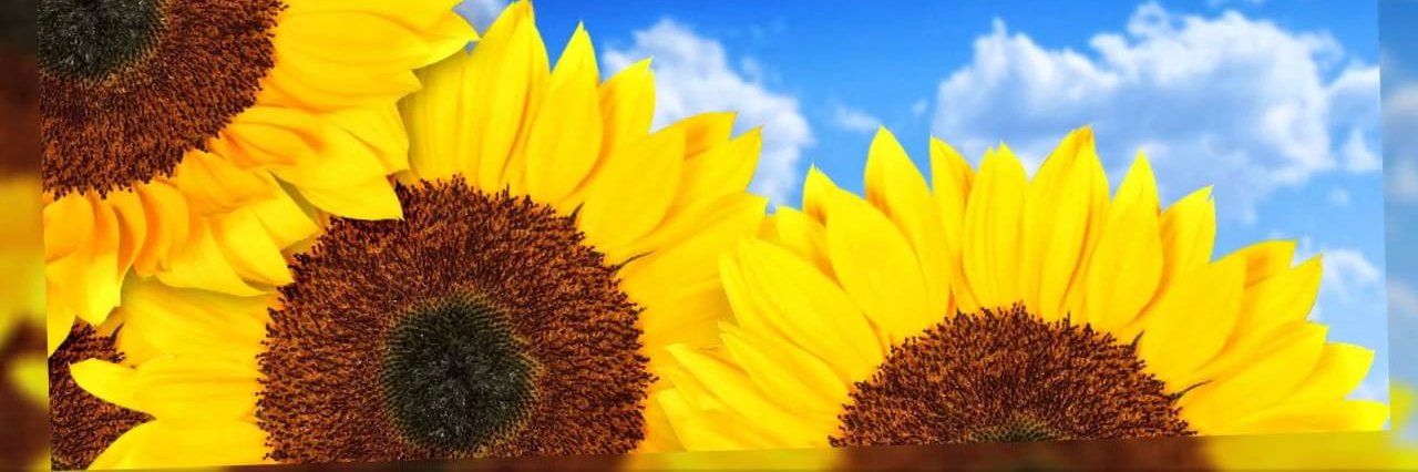 DieguezElo's profile banner image
