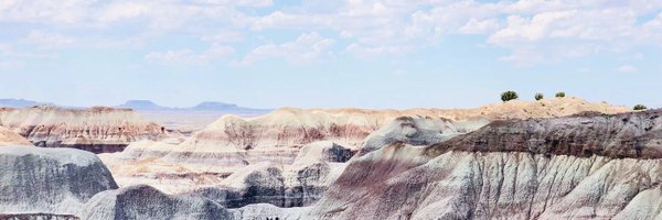 EntringerIrene Profile Banner