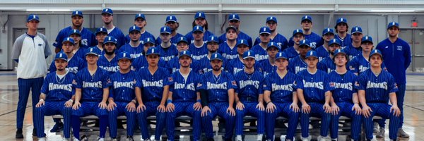 Harper College Baseball Profile Banner