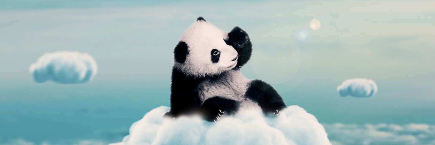 Al Barizi 💙 banner