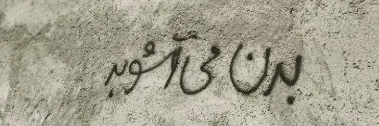 Forouz 🪻🍎🌱🧄🪞📕's banner