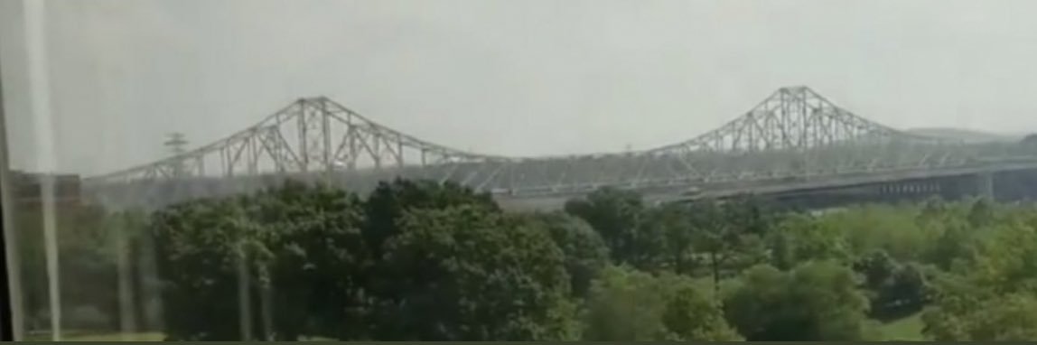 BELLCAT BUTTERFLY banner