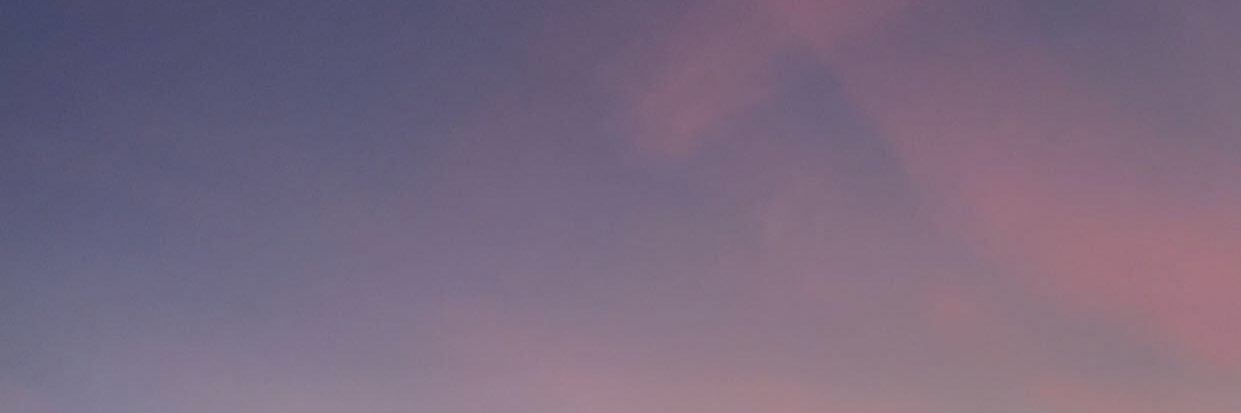 saradolann's profile banner image