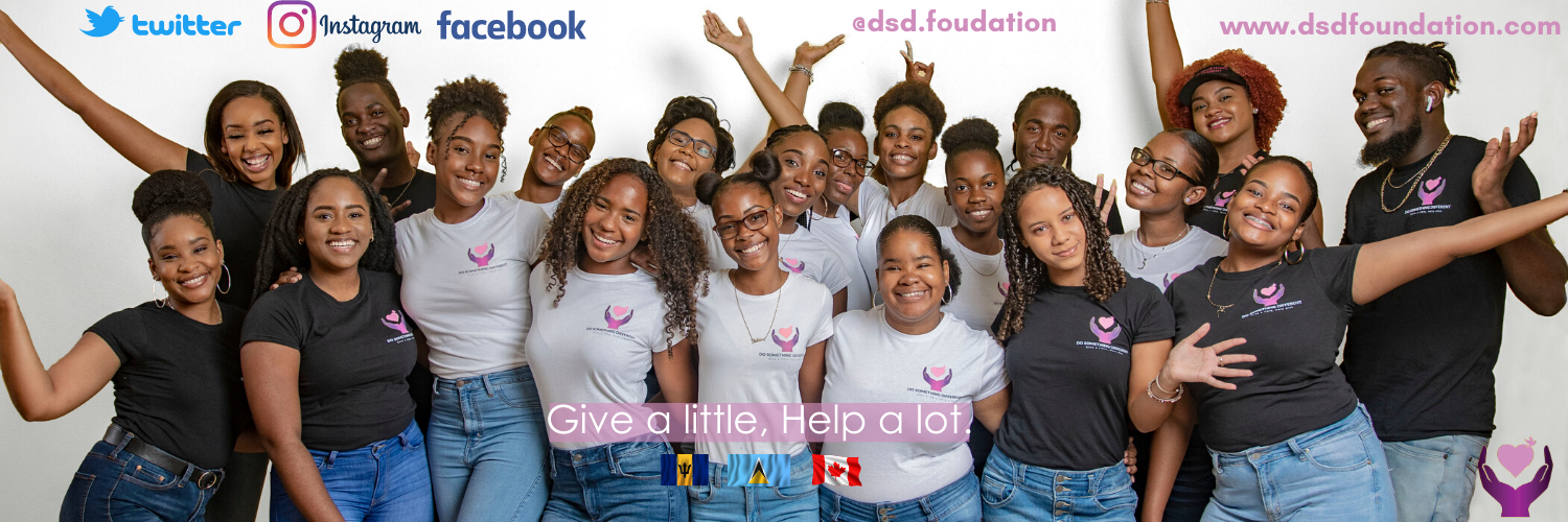 dsdfoundations's profile banner image