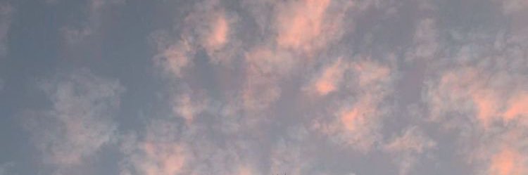 zzlienn's profile banner image