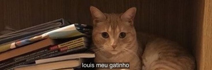 iv !! banner