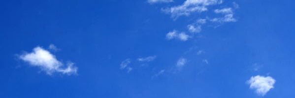 Terry 🌷🌷😃 banner