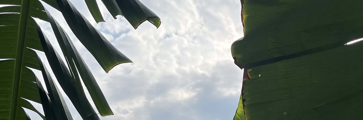 Taehiiro's profile banner image