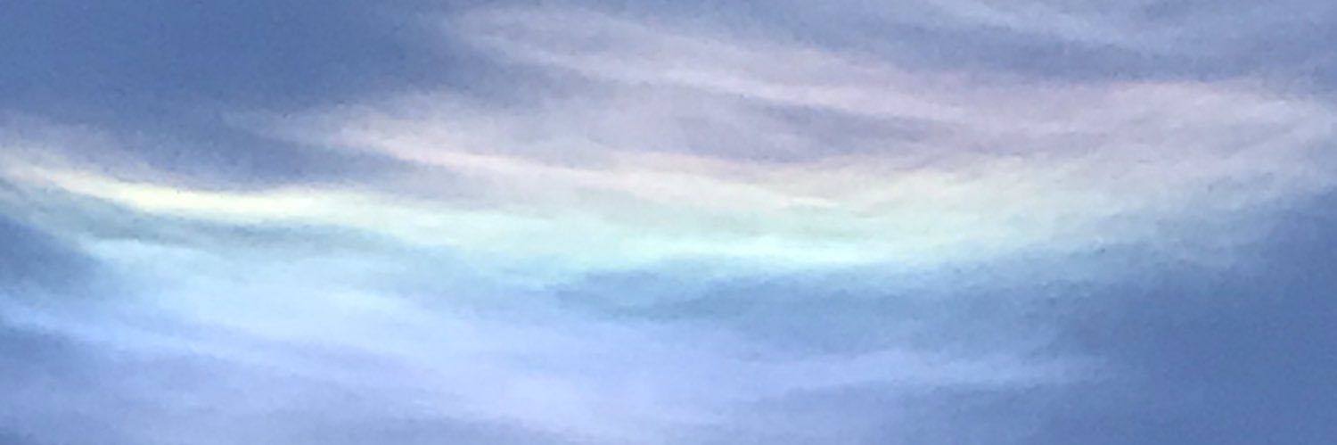 SandySsniss's profile banner image