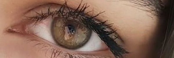 ngin_kvd Profile Banner