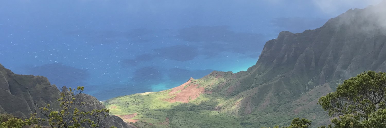 WillDWinterPark's profile banner image