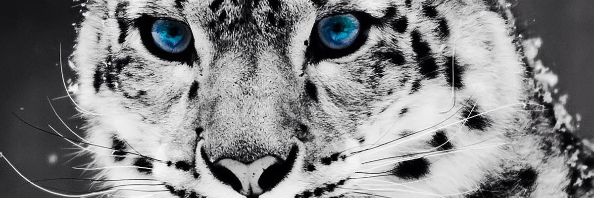 7VictorGarcia's profile banner image
