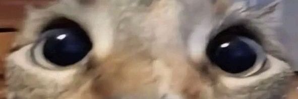 Tired banner