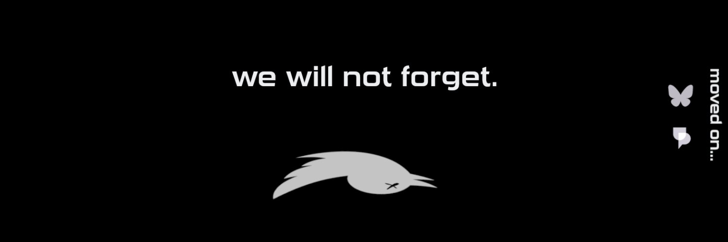 Owl banner