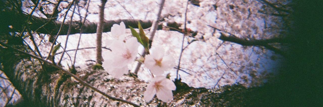 per_n_612's profile banner image