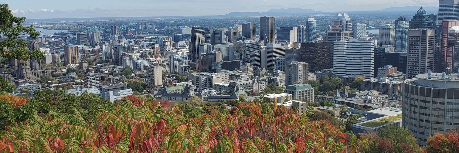 Ifeoluwa (Ife) Adedipe banner