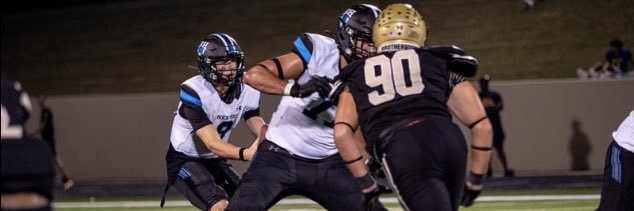 Benjamin Rosa banner