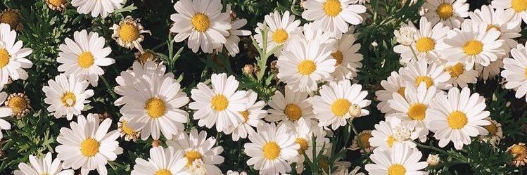 _smileysmt's profile banner image