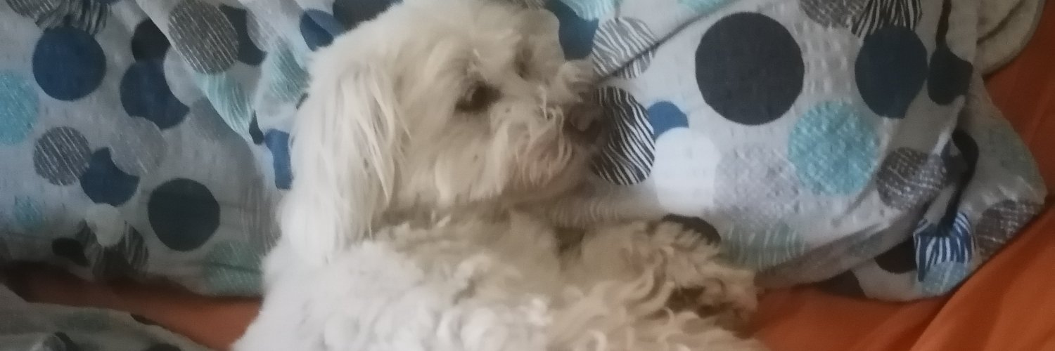 cholla6's profile banner image