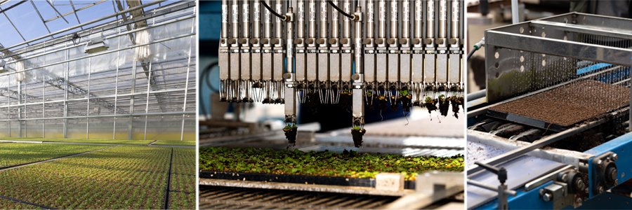 Earley Ornamentals banner