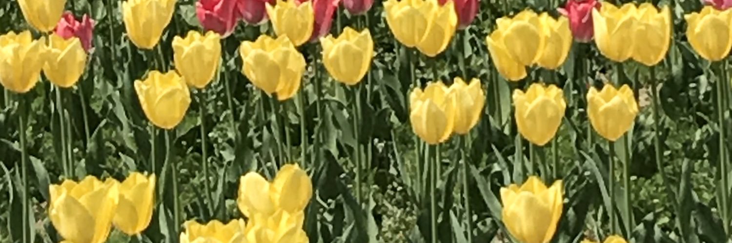 Amby1110's profile banner image